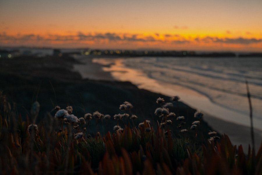 Photo self-awareness